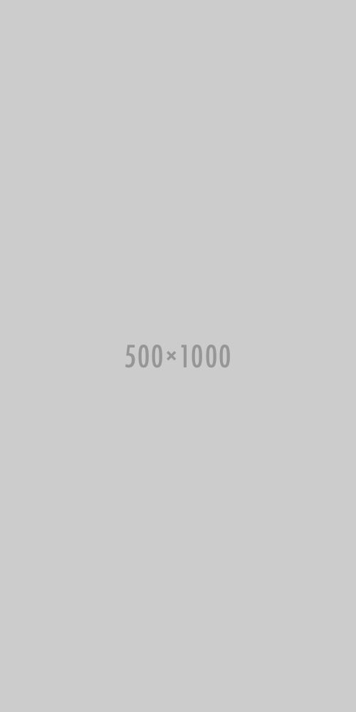 porfolio
