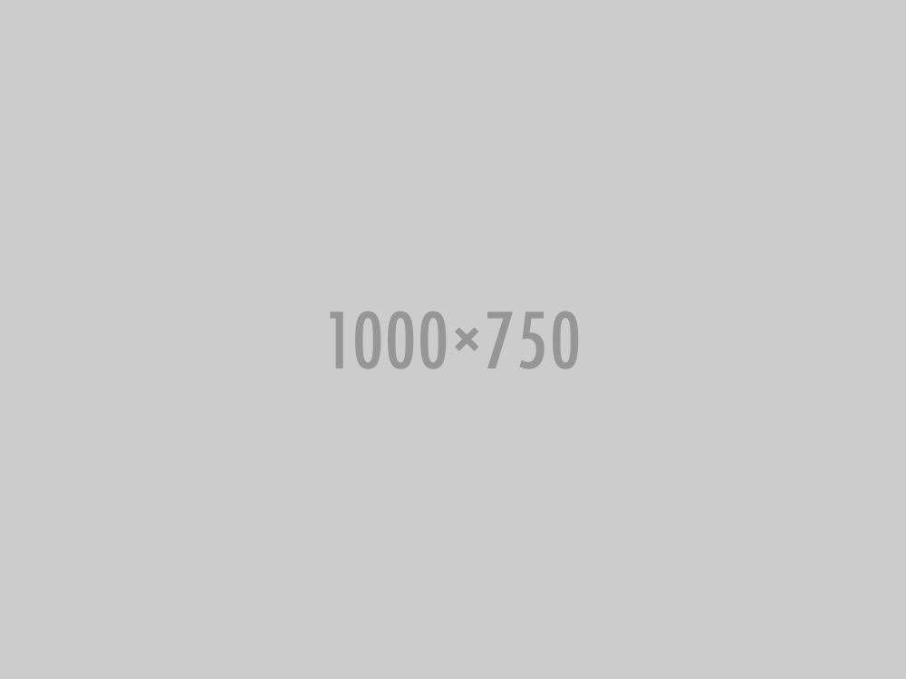 porfolio